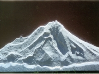 shasta-raw